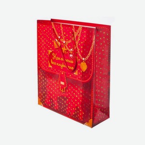 Сумка Люкс Ассорти 23*27*11,5см (м)