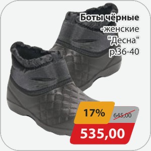 Боты черные женские  Десна  р.36-40