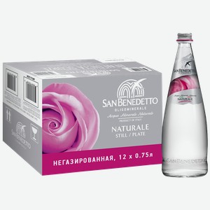 Минеральная вода Вода негазированная San Benedetto (12 шт.) 0.75 л.