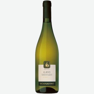 Вино Scanavino Gavi DOCG белое сухое