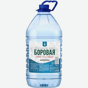 Вода  Боровая  Негазированная, ПЭТ, 5000 мл