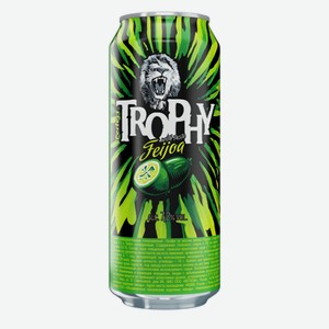 Коктейли «ТРОФИ фейхоа», 0.5 л, 7.2 %