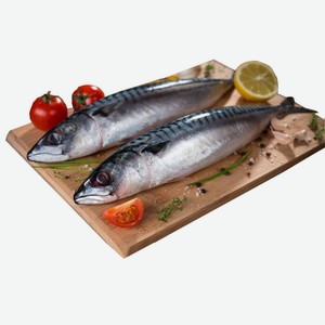 Скумбрия свежеморо́женая с головой 1 кг ( 200-400г)