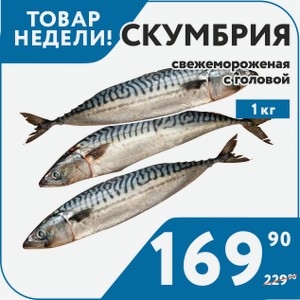 Скумбрия с/м с/г 200-400 1 кг