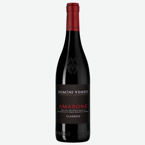 Вино Amarone della Valpolicella Classico, Domini Veneti, 0.75 л.