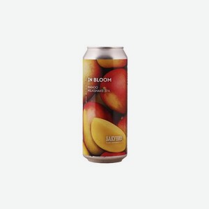 Пиво Бакунин In Bloom милкшейк ипа 2 0.5л