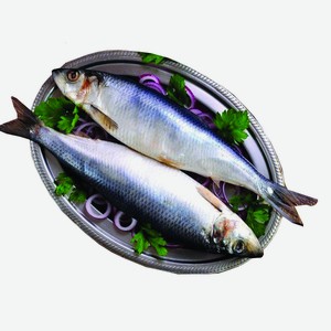 Сельдь с/с +350 1кг
