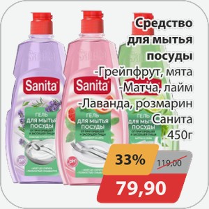 Средство для мытья посуды Санита 450г