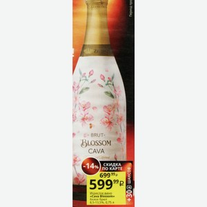 Игристое вино «Cava Blossom» белое брют 8,5-13,5%, 0,75 л