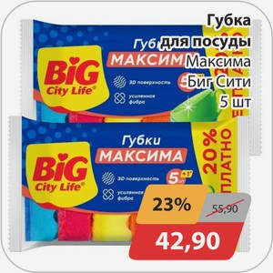 Губка для посуды Максима Биг Сити 5 шт