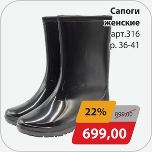 Сапоги женские арт.316 р.36-41