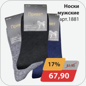 Носки мужские арт.1881