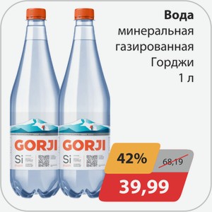 Вода минеральная газированная Горджи 1 л