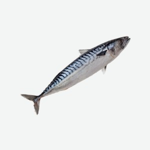Скумбрия с/м н/р т/о  СОЮЗПРОДУКТ  1кг