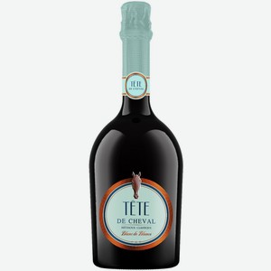 Игристое вино  Tete De Cheval  Blanc de Blancs, 0.75 л, Россия