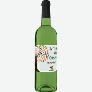 Вино Brisa de Otono Verdejo Rueda DO Navarro Lopez 13.5% 0.75 л.