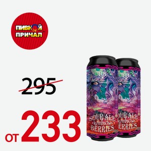 Пиво суэр эль Брю Беланс Камбуча-ягоды 4,5% 0,5 л Ж/Б