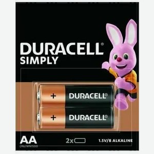 Элементы питания DURACELL AA-2ШТ БЛИСТЕР,