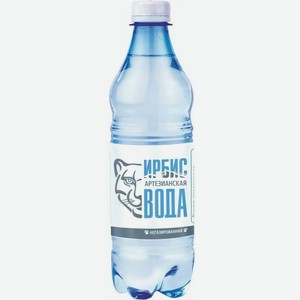 Вода питьевая артезианская ИРБИС ГАЗ. ПЭТ 0,5Л, ,
