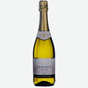 Игристое вино Palazzo Nobile Spumante Bianco Brut белое сухое 9.5% 0.75л