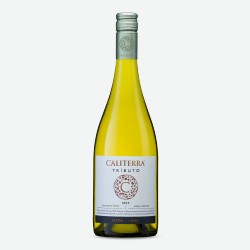 Вино Sauvignon Blanc Tributo