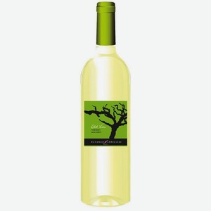 Вино Navarro Lopez,  Old Vines  Verdejo-Macabeo, Valdepenas DO белое 750 мл
