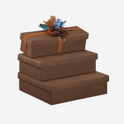 Подарочные коробки Подарочная коробка для 1-й бутылки  Seta Marrone 