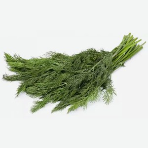 Укроп свежий ЭКЗОТИКА 100Г