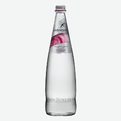 Минеральная вода Вода негазированная San Benedetto (12 шт.) 1 л.