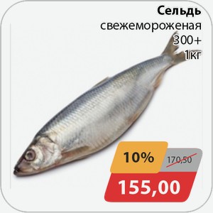 Сельдь свежемороженая 300+ 1 кг