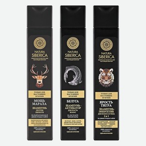 Шампунь для волосв ассортименте Natura Siberica Men 250 мл