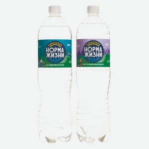 Вода питьевая Норма Жизни газ, б/г 1,5 л