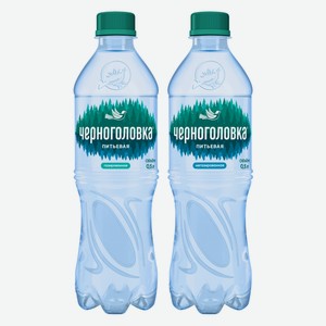 Вода Питьевая Черноголовка газир./негазир. 0,5 ПЭТ