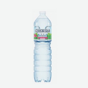 Вода Сенежская н/г 1,5л