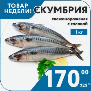 Скумбрия свежемороженая 200-400 1кг
