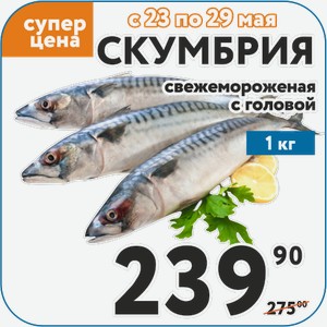 Скумбрия ссежемороженая с головой 1 кг