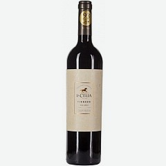 Вино Пионер Мальбек, красное, сухое, 0.75л., 14,5%, Аргентина