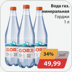 Вода газ минеральная Горджи 1 л