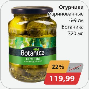 Огурцы маринованные 6-9 см Ботаника 720 мл