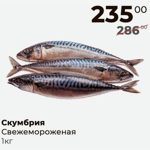 Скумбрия свежемороженая 1кг