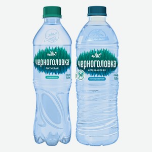 Вода питьевая Черноголовка газ., негаз. 0,5 ПЭТ