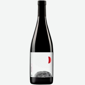 Вино Aya Organic Wine EVOLUTION «Пино Нуар» 2022 0.75 л