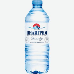 Вода Пилигрим минеральная негазированная 0.5л