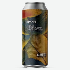 БАКУНИН кислый эль ЯРКИЙ 5% 0,5л ж/б