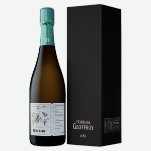 Шампанское Champagne Geoffroy Les Tiersaudes Brut Nature Premier Cru в подарочной упаковке, 2019, 0.75 л