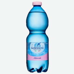 Минеральная вода Вода негазированная San Benedetto (24 шт.*0.5 л.) 0.5 л