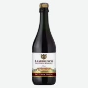 Вино игристое Lambrusco Fattoria Emilia красное сухое 0,75 л