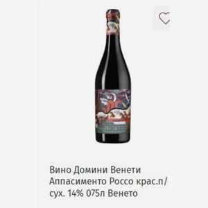 Вино Домини Венети Аппасименто Россо крас.п/ сух. 14% 075л Венето