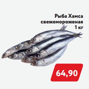 Рыба Хамса свежемороженная 1кг