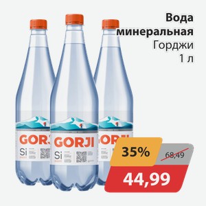Вода минеральная Горджи 1л